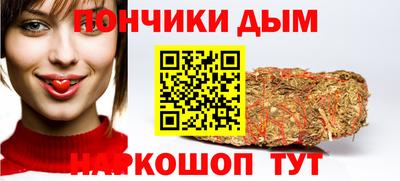 jwh Камышлов