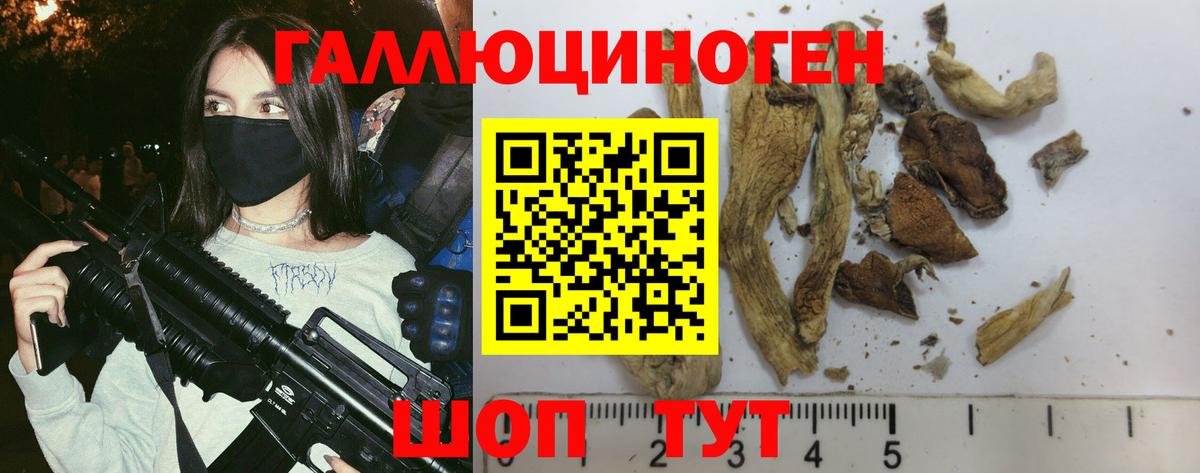 Псилоцибиновые грибы прущие грибы Лысьва